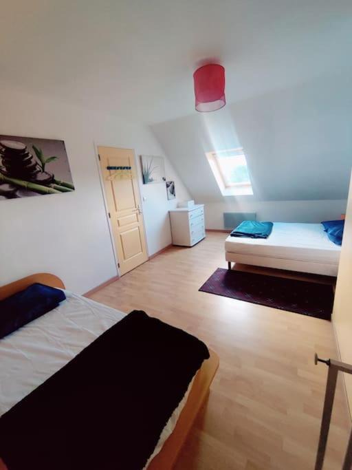 Photo of Others in Saint-Germain-sur-Ay