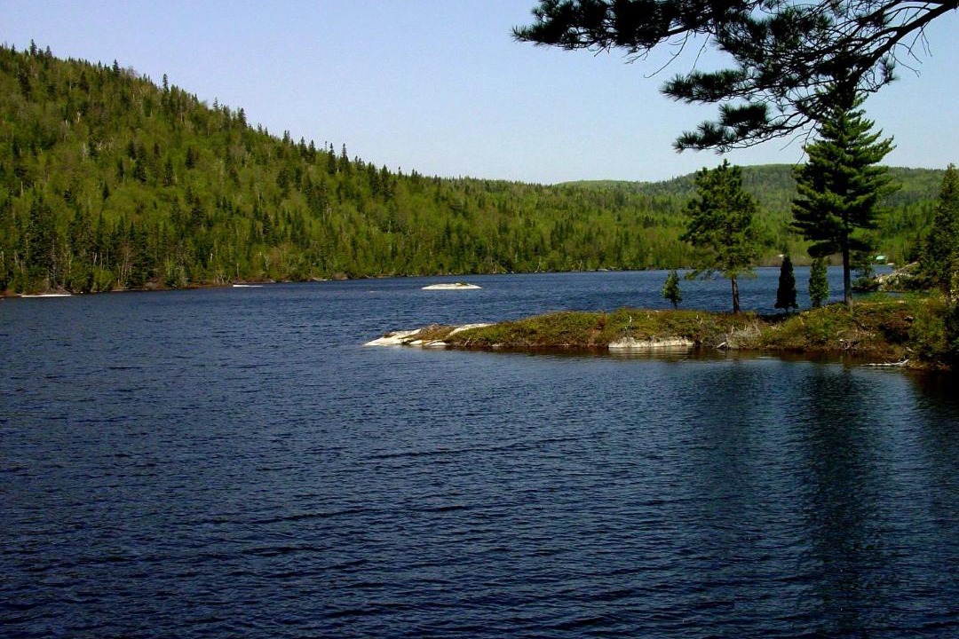 Photo of Others in Tadoussac