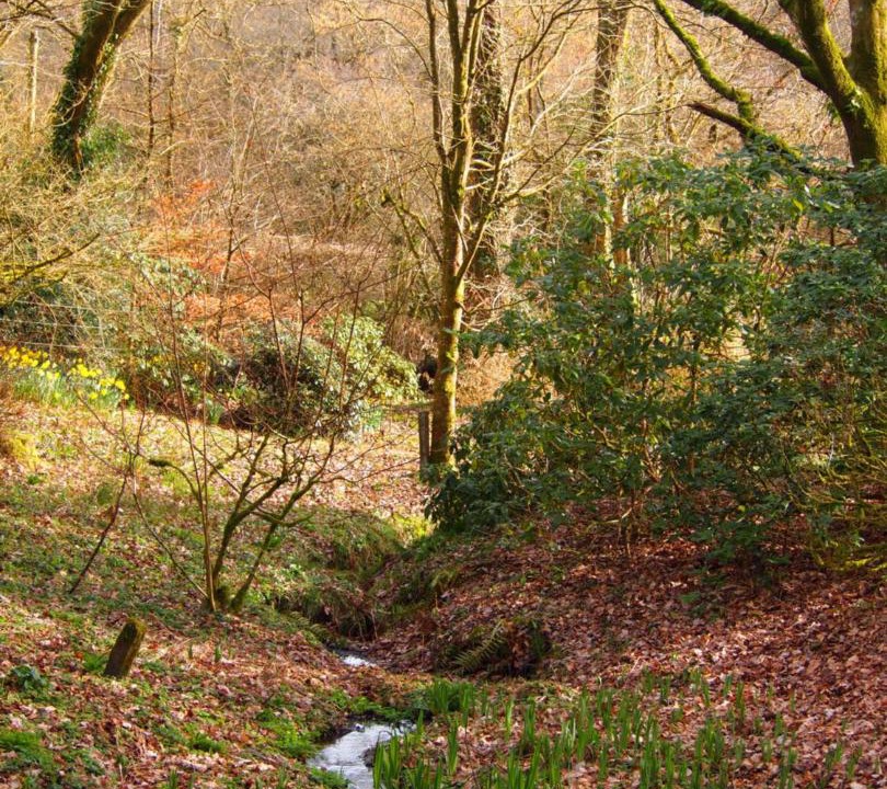 Photo of Others in Brushford