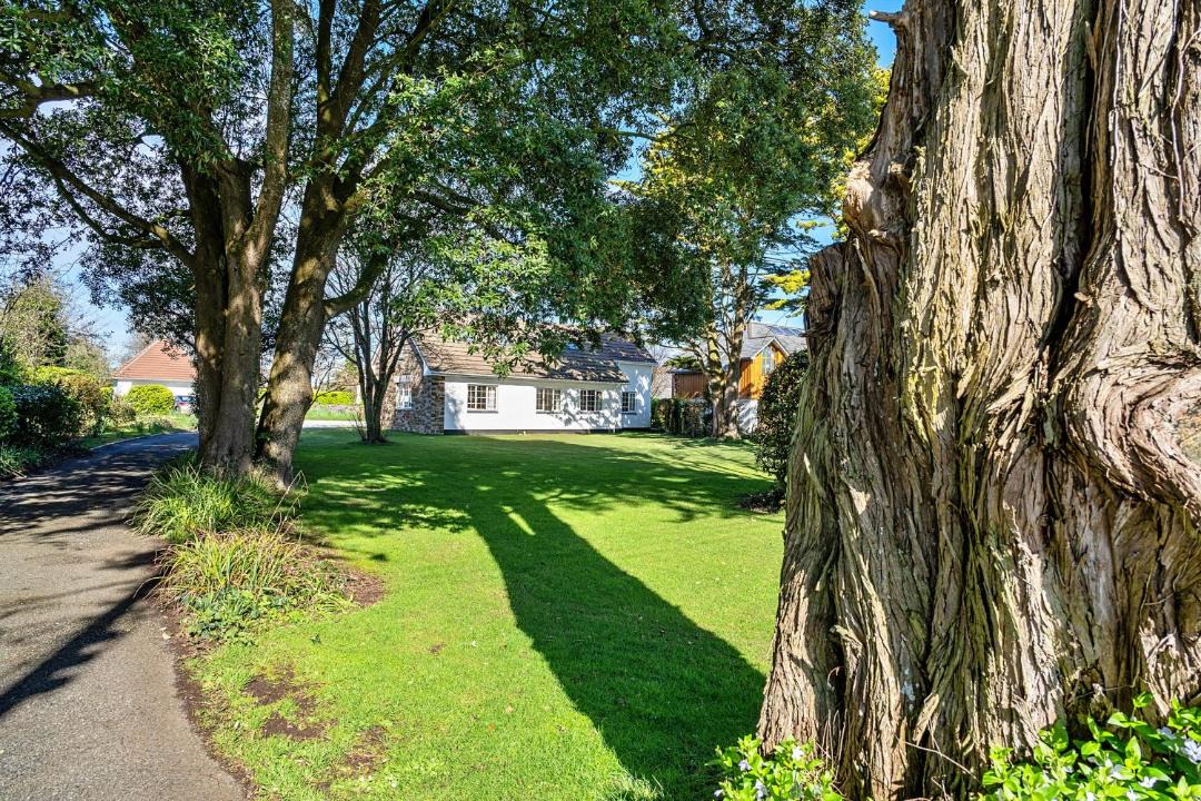 Photo of Others in Rock