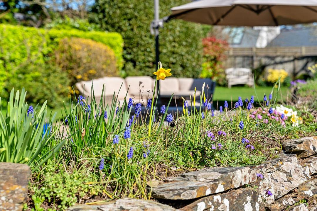 Photo of Others in Rock