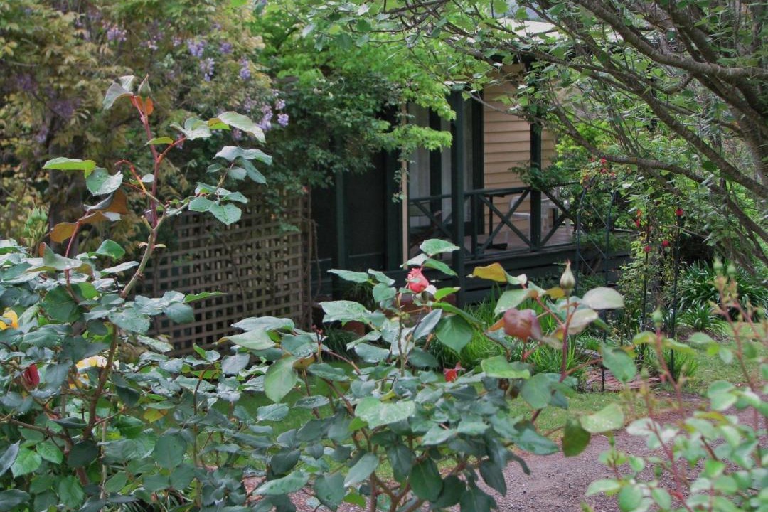 Photo of Others in Dixons Creek