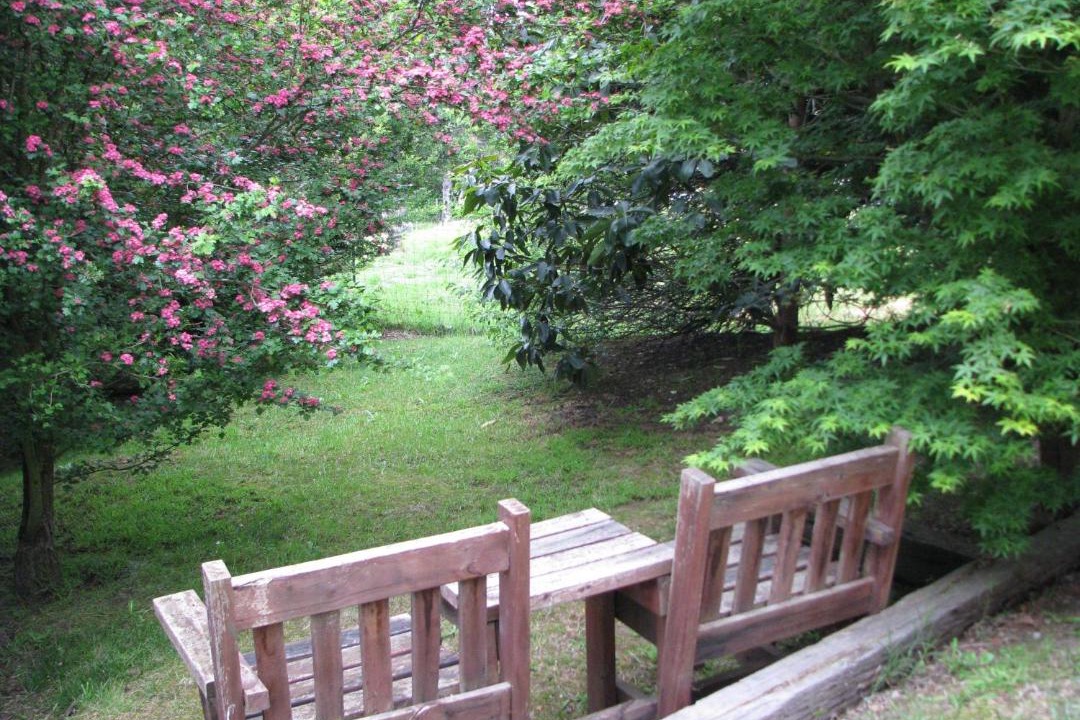 Photo of Others in Dixons Creek