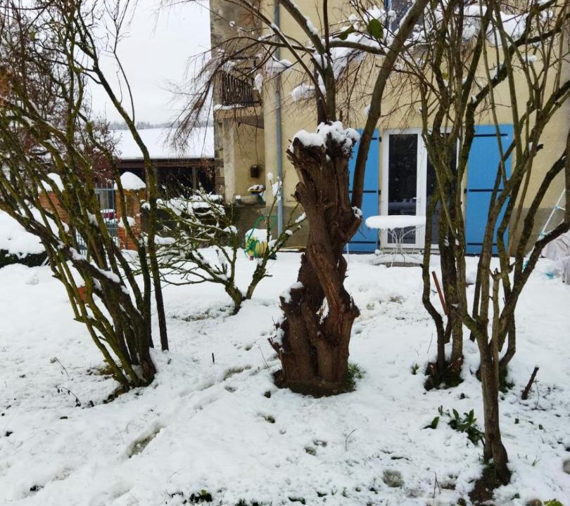 Photo of Others in Domeyrat