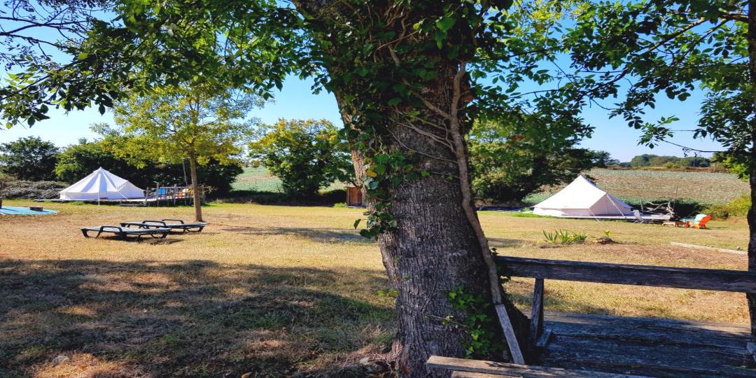 Photo of Others in Curzay-sur-Vonne