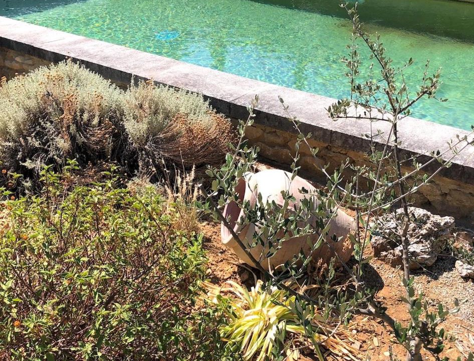 Photo of Others in Taulignan