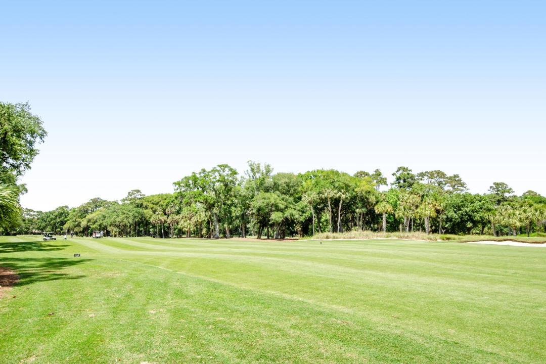 Photo of Others in Sea Pines