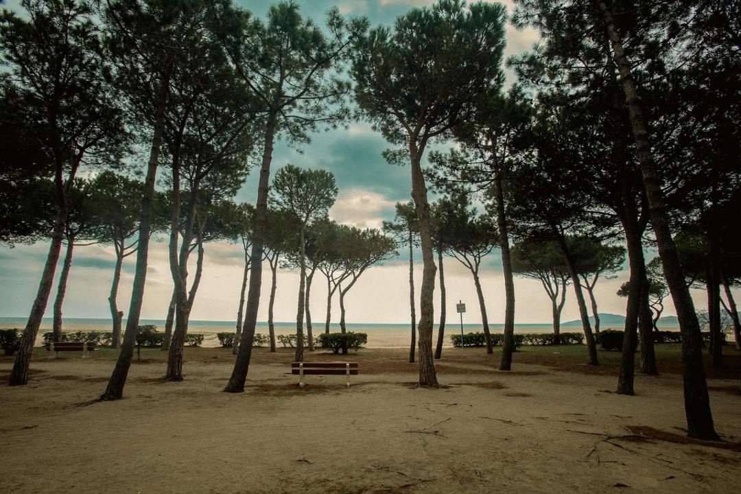 Photo of Others in Argeles Plage