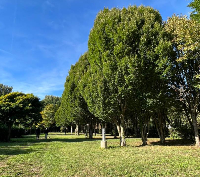 Photo of Others in Bagneaux-sur-Loing