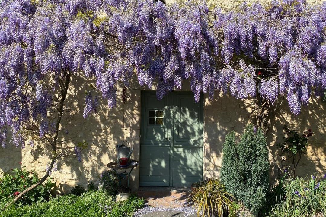 Photo of Others in Lautrec