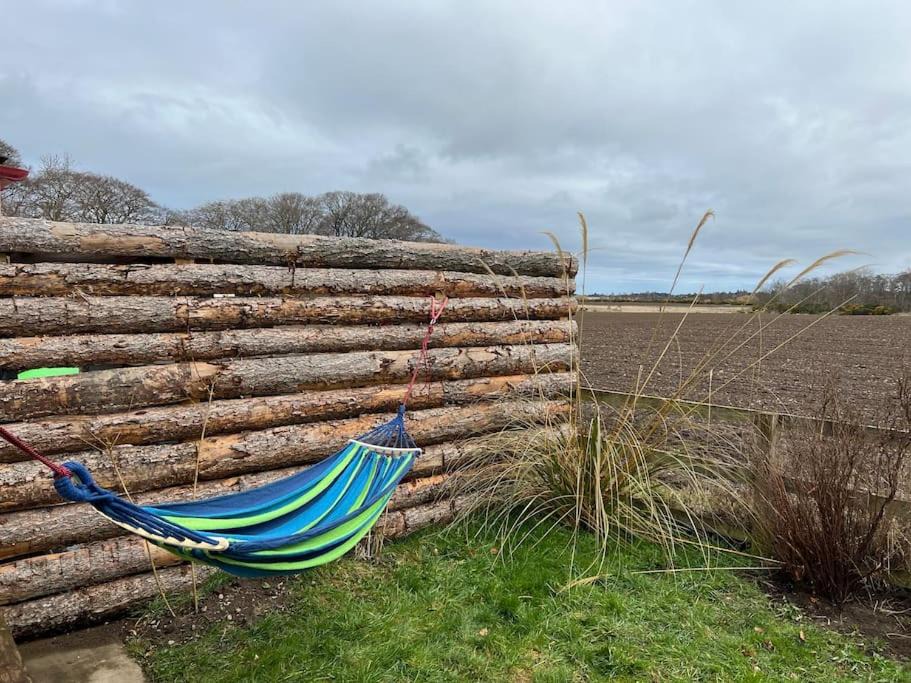 Photo of Others in Forres