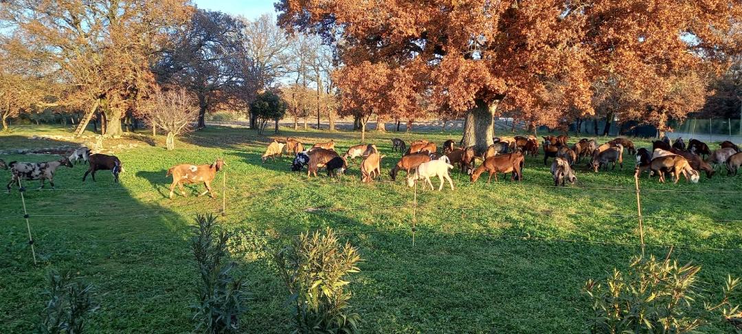 Photo of Others in Gras