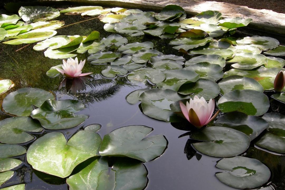 Photo of Others in Tamaris