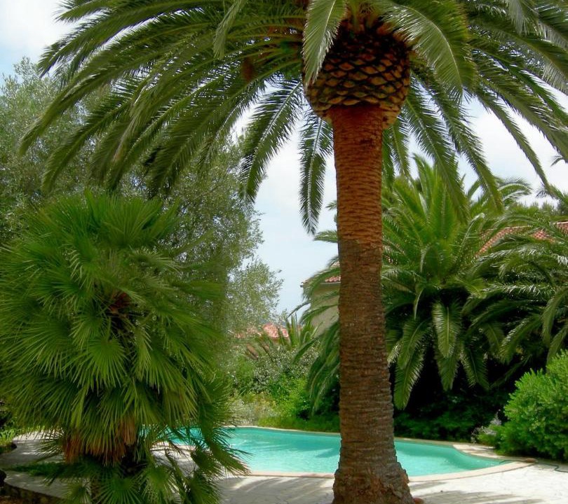 Photo of Others in Tamaris