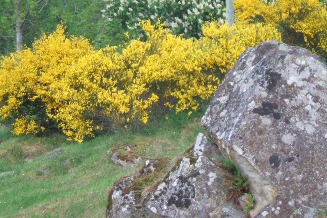 Photo of Others in Retournac