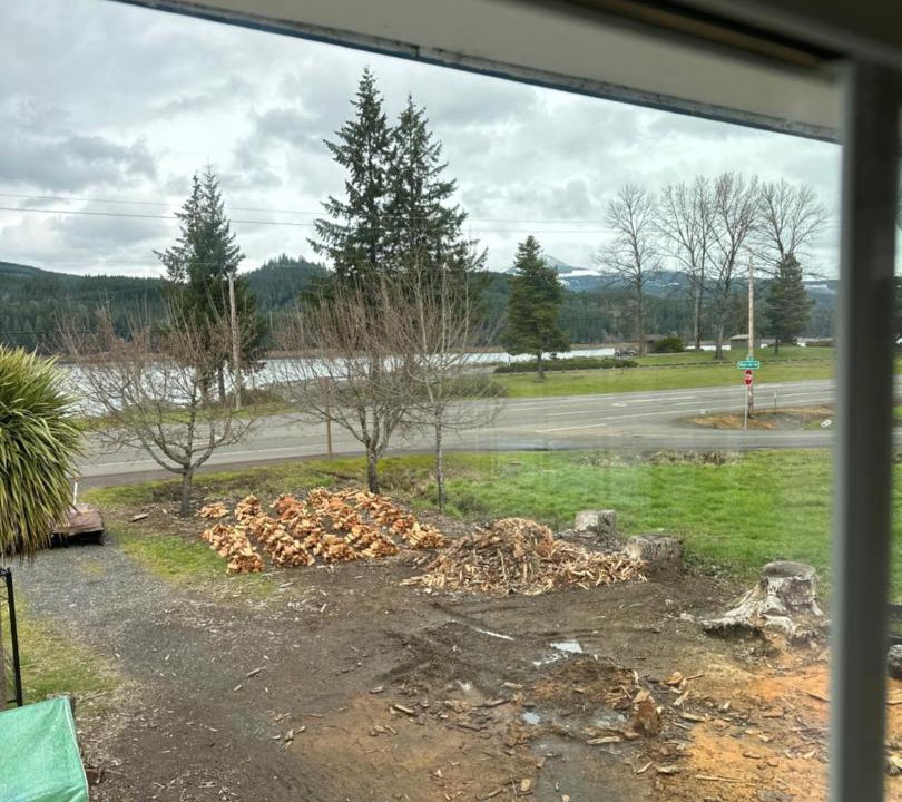 Photo of Others in Sweet Home