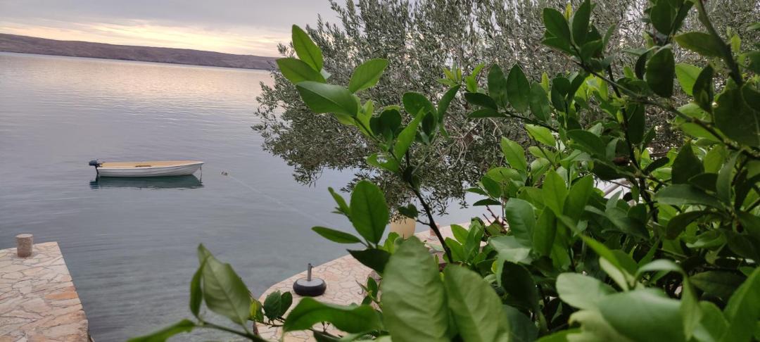 Photo of Others in Baric Draga