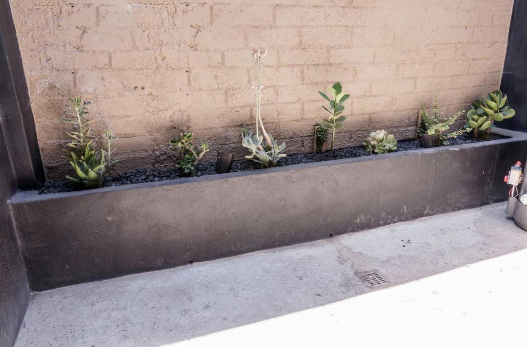 Photo of Others in Zona Centro