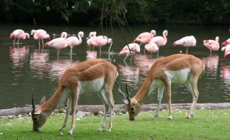 Photo of Others in Sierville