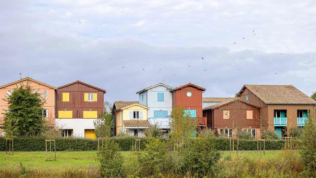 Photo of Others in Le Teich