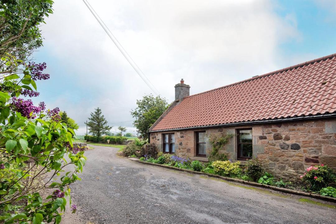 Photo of Buildings in MacMerry