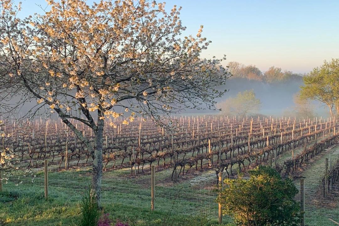 Photo of Others in Caupenne-d'Armagnac