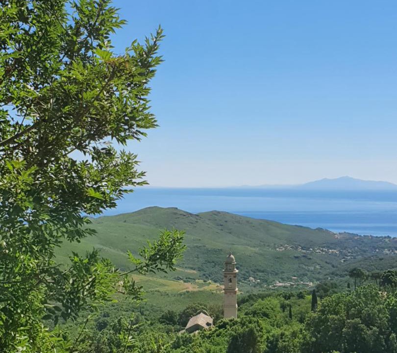 Photo of Outdoor in Sisco