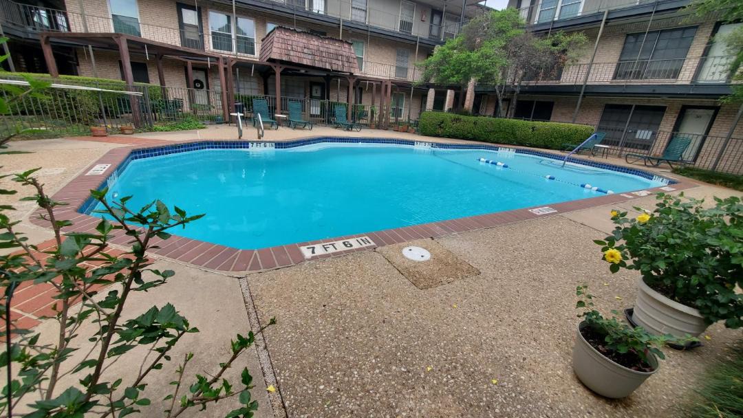 Photo of Others in North Shoal Creek