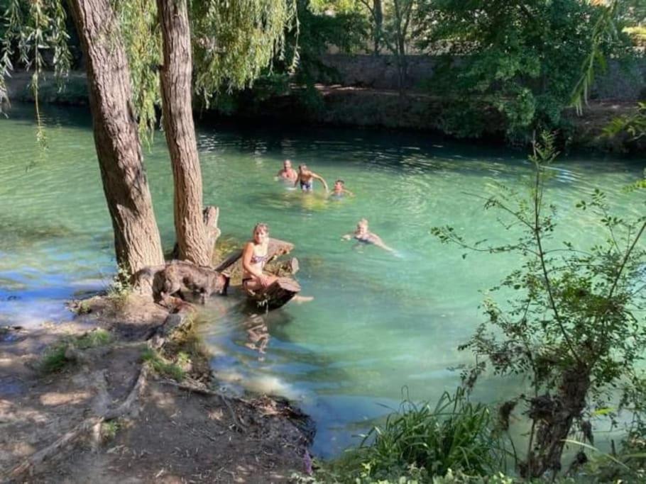 Photo of Others in Bize-Minervois