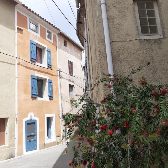 Photo of Others in Bize-Minervois