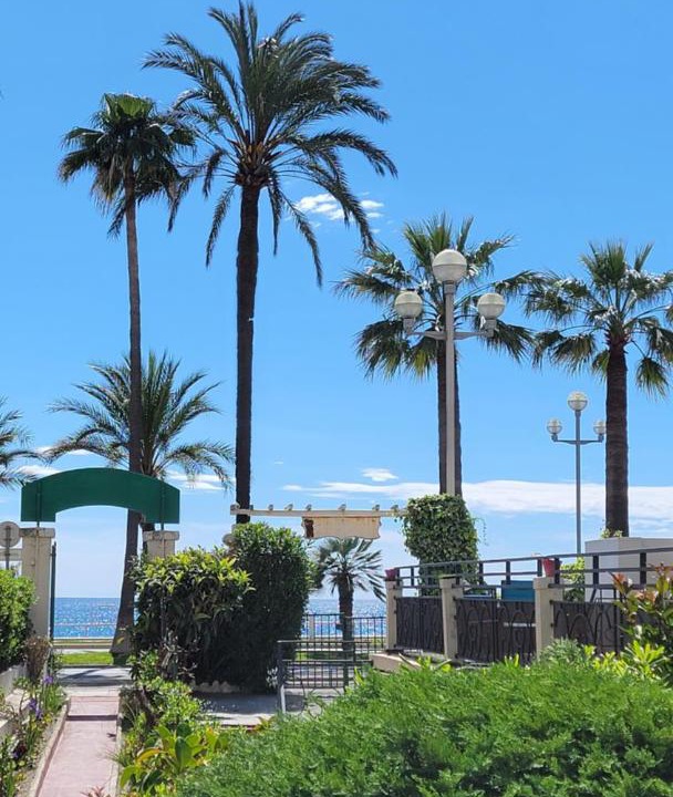 Photo of Others in Les Baumettes