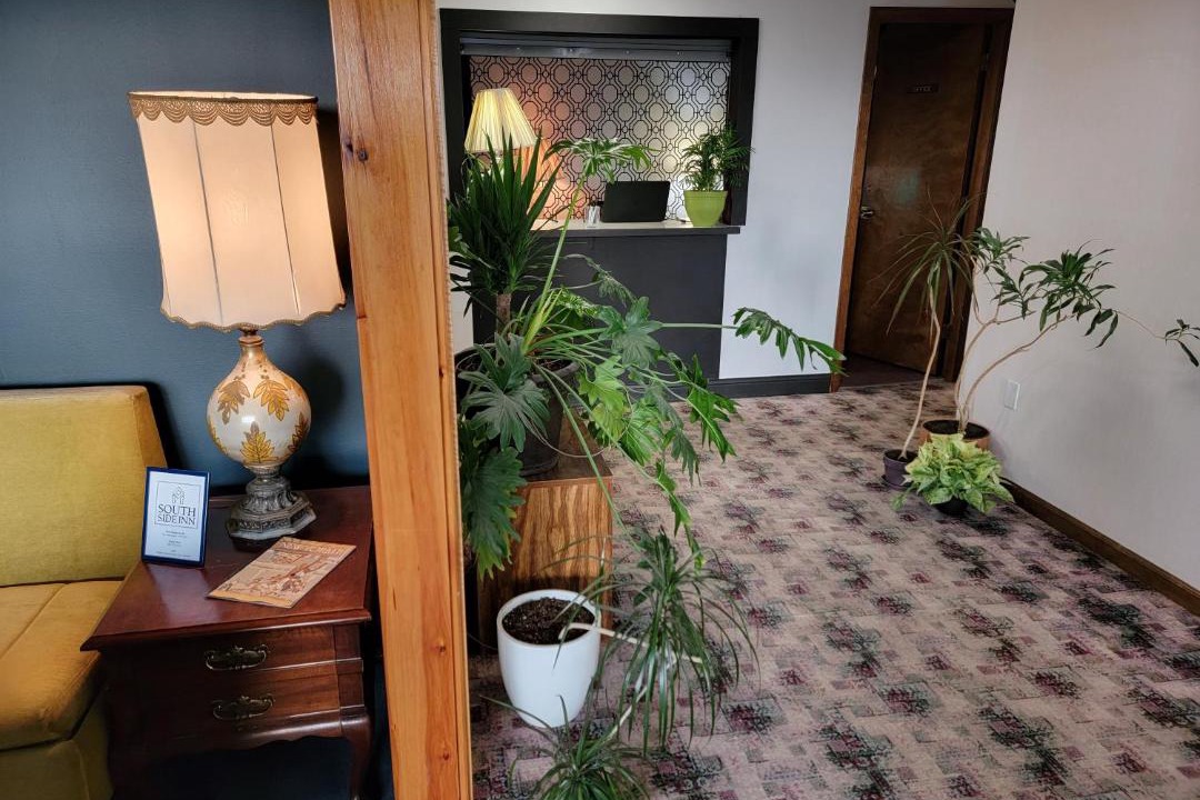 Photo of Others in South Burlington