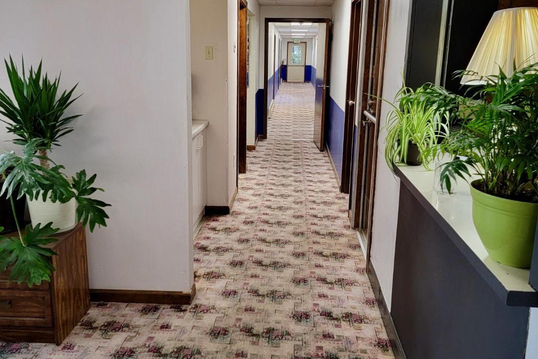 Photo of Others in South Burlington