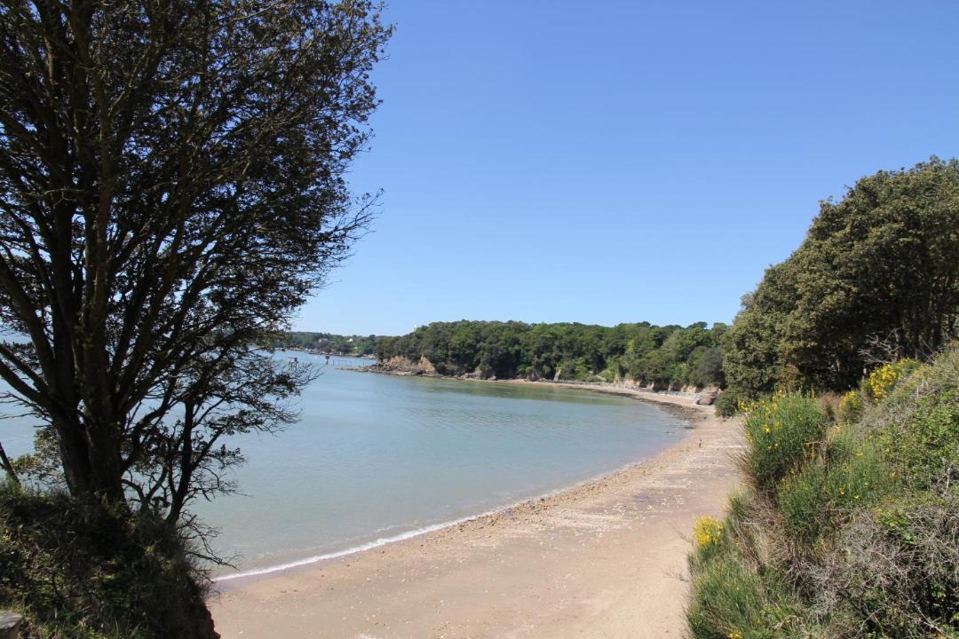 Photo of Others in Saint-Nazaire