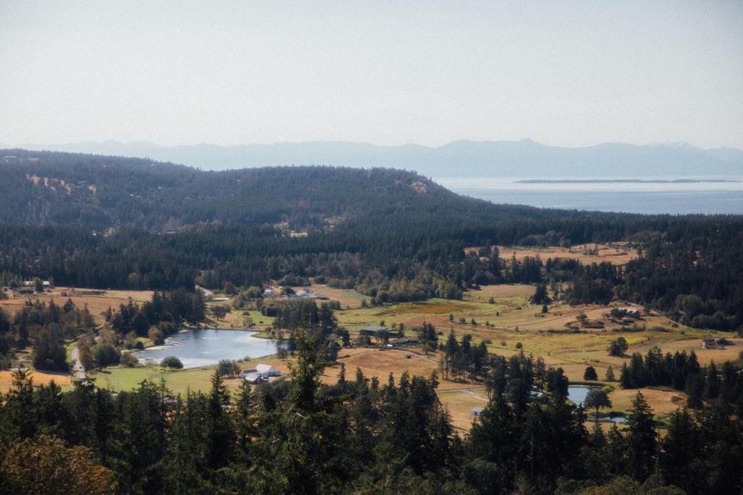 Photo of Others in Friday Harbor