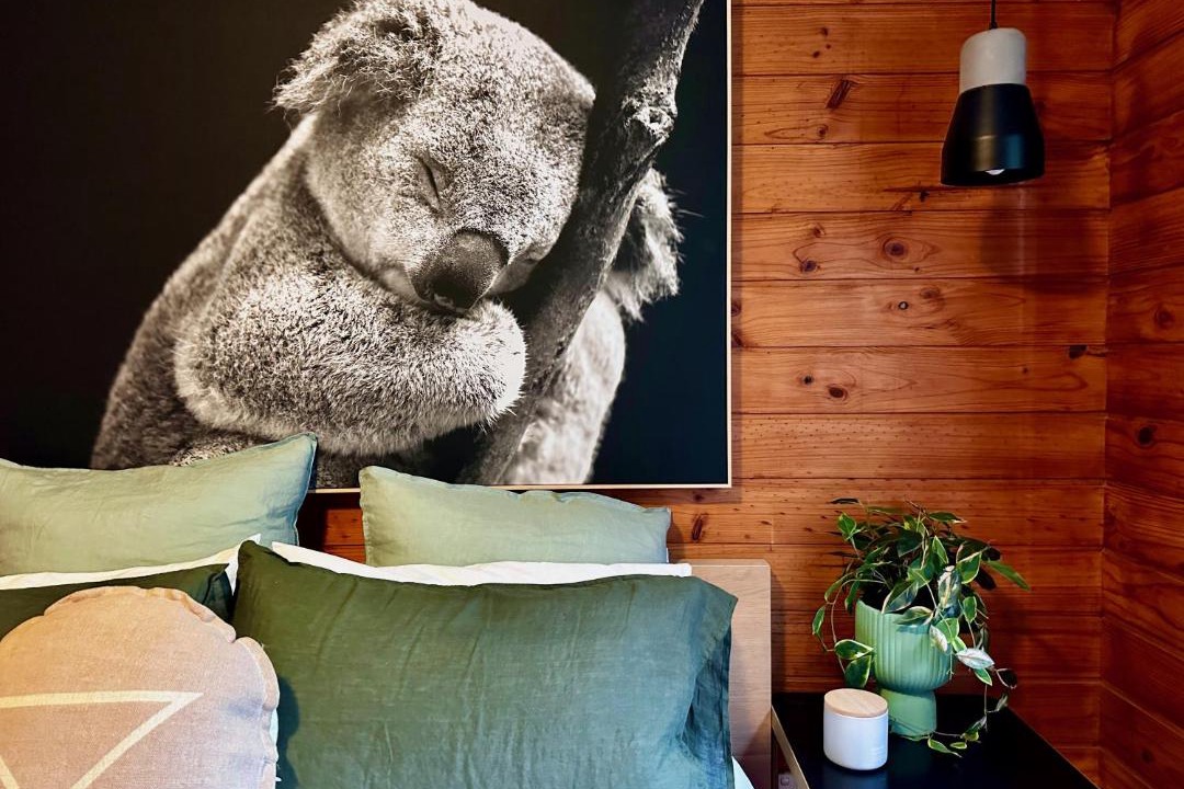 Photo of Others in Kangaroo Valley