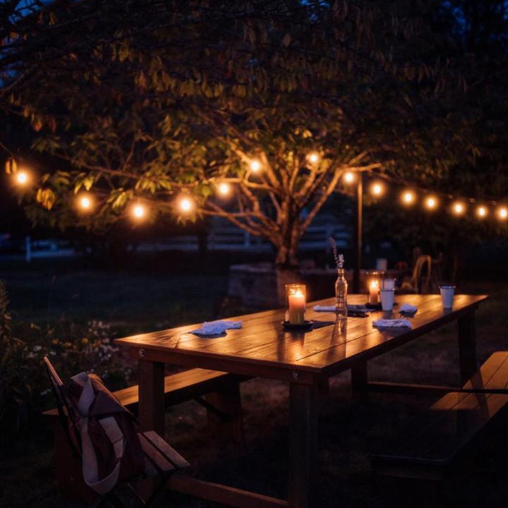 Photo of Others in Friday Harbor