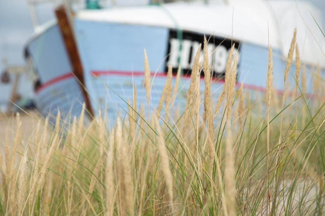 Photo of Others in Slette Strand