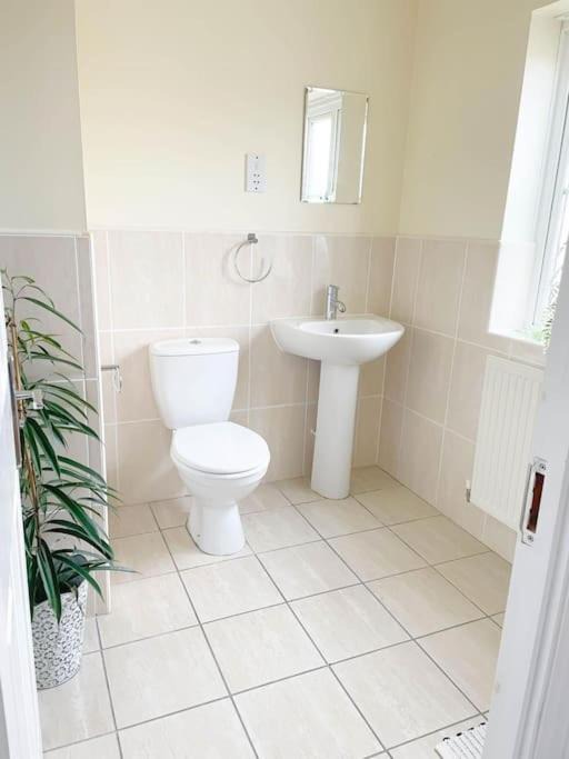 Photo of Others in Carterton