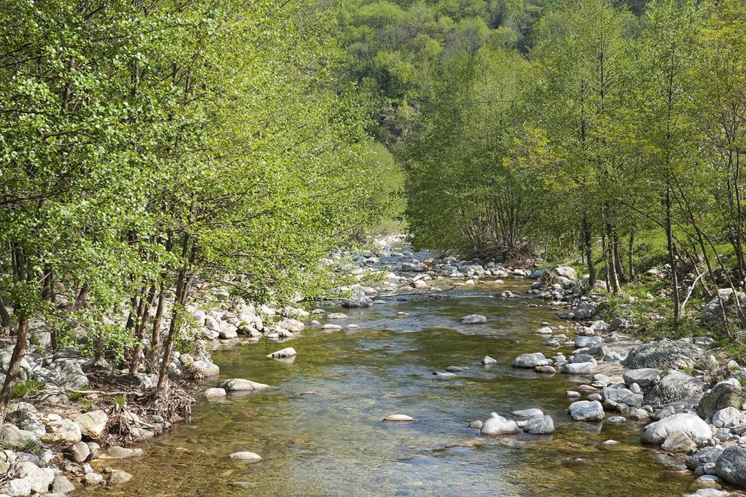 Photo of Others in Valgorge