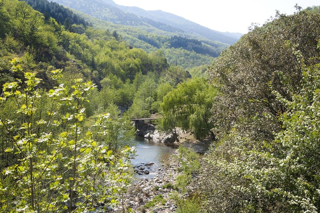 Photo of Others in Valgorge