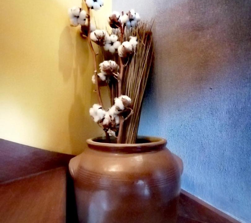 Photo of Others in Lagorce