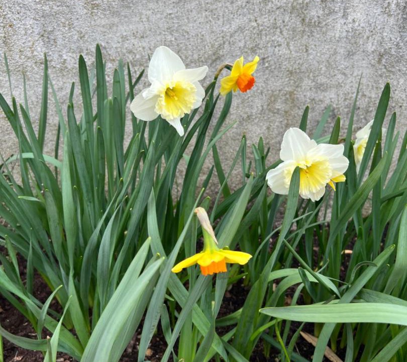 Photo of Others in Chateauvieux