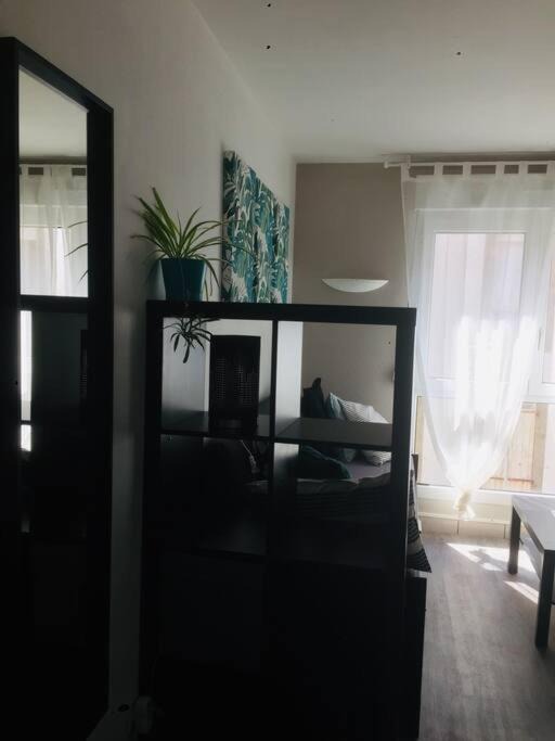 Photo of Others in Saint-Marc