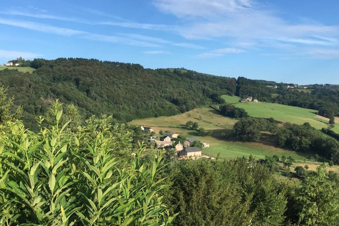 Photo of Others in Bar