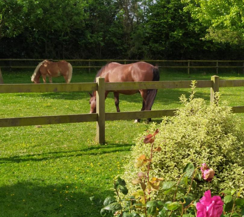 Photo of Others in Sausseuzemare-en-Caux