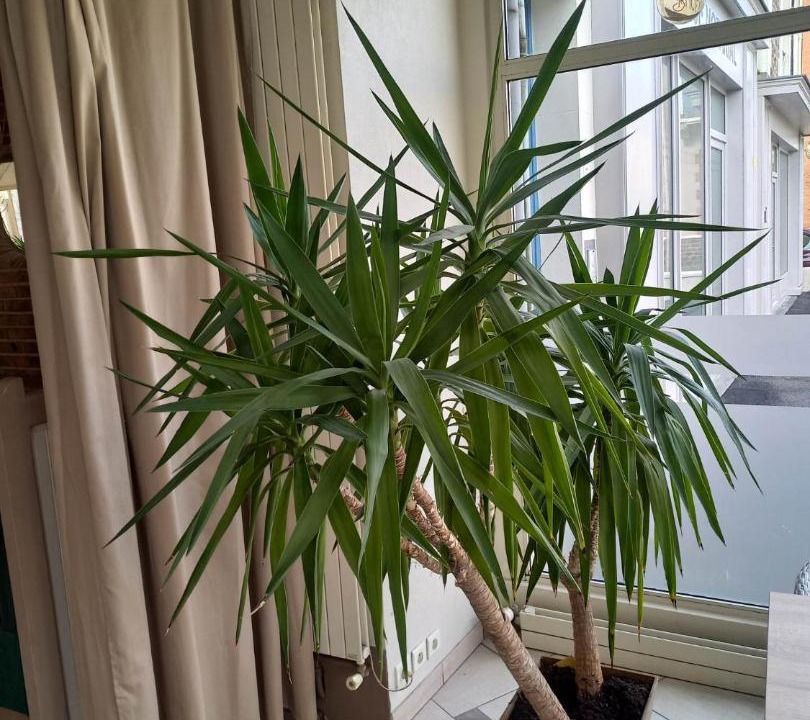 Photo of Others in Courtoisville-Sillon-Moka