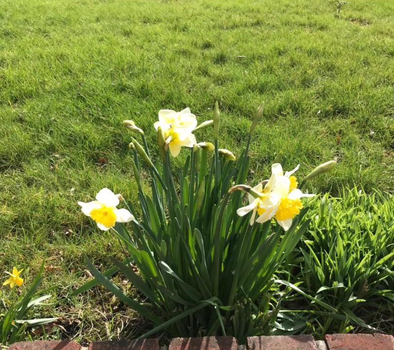 Photo of Outdoor in Campigneulles-les-Petites