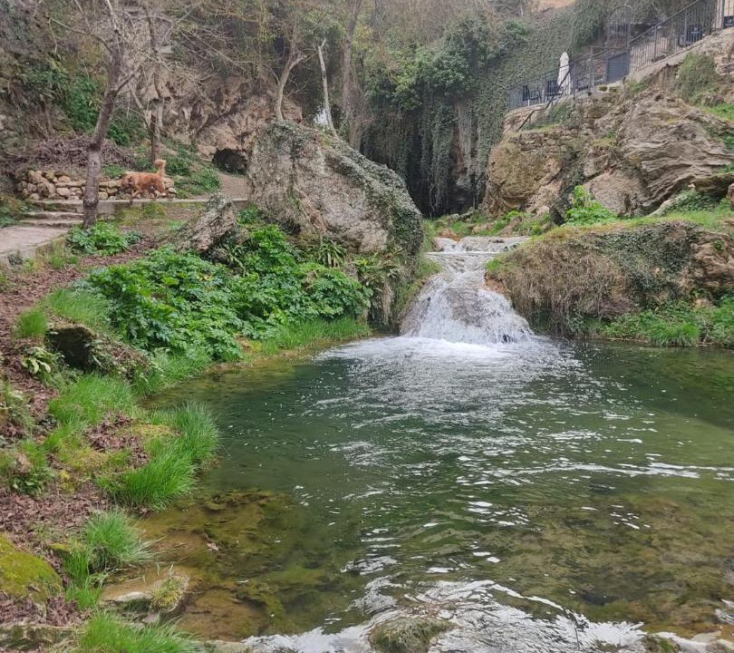 Photo of Others in Tobera