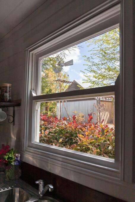 Photo of Others in Taralga